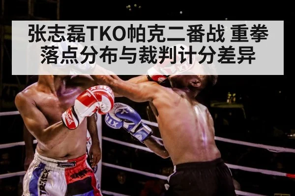 张志磊TKO帕克二番战 重拳落点分布与裁判计分差异