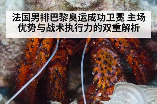 法国男排巴黎奥运成功卫冕 主场优势与战术执行力的双重解析